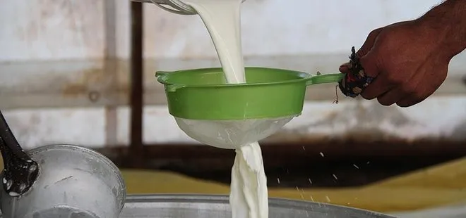 Süt fiyatları ne kadar, kaç TL oldu? Çiğ süt fiyatı kaç TL’den satılacak? SON DAKİKA HABERLER
