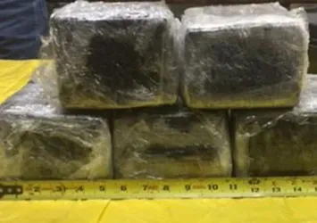 Uçağın burnunda bulundu