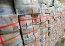 Bazı şirketlere ait hisseler Türkiye Varlık Fonuna devredildi