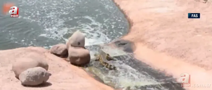 Futbolcular neye uğradıklarını şaşırdı! Futbol sahasını bastılar 22