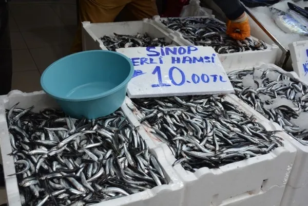 Yerli hamsi tezgahlara indi fiyatlar geriledi! Bir günde kilosu 30 liradan 10 liraya düştü - 2