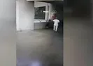 Tepki toplayan görüntüler!