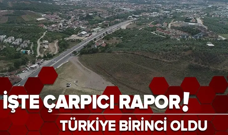 Birleşmiş Milletler Gıda ve Tarım Örgütü raporu belli oldu! Türkiye ağaçlandırmada Avrupa'da birinci oldu