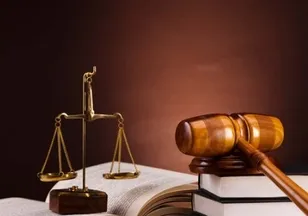 T.C. HALFETİ 2. ASLİYE HUKUK MAHKEMESİNDEN