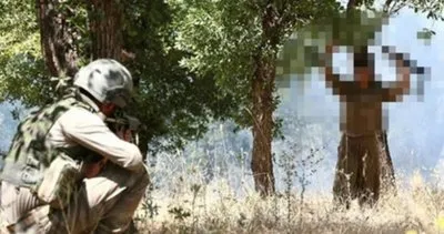 Terör örgütü PKK dağılıyor! Teslim olan terörist sayısı 204'e yükseldi