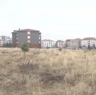 Ankara’da sokak köpekleri küçük bir çocuğu parçaladı! Bu kaçıncı skandal! Daha kaç canın yanması gerekiyor?