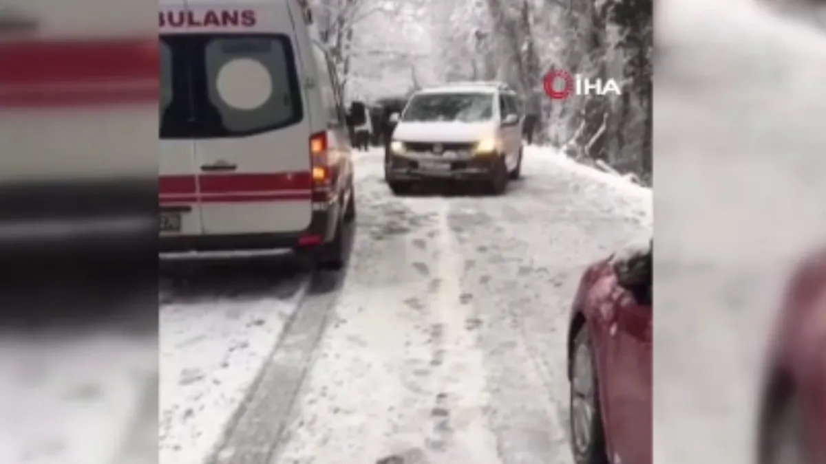 Facianın eşiğinden dönüldü! Kar nedeniyle ağaç devrildi yol kapandı
