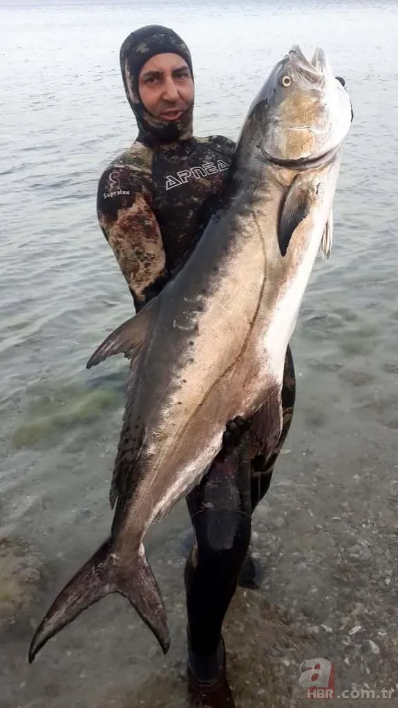 Tüpsüz dalışta, boyu büyüklüğünde balık avlıyor 9