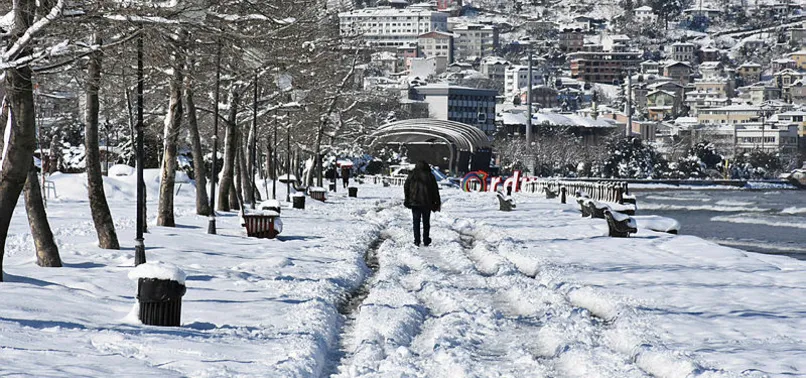 Son dakika: Ordu'da eğitime kar engeli