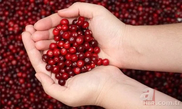 Kilo vermenizi sağlayacak yiyecekler 8