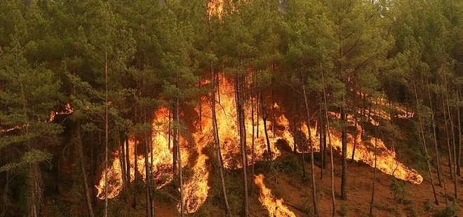 Devlet ormanlar için tüm imkanlarıyla seferber! Yangınlarla mücadele için kullanılan uçak, helikopter ve ekipman sayısı açıklandı