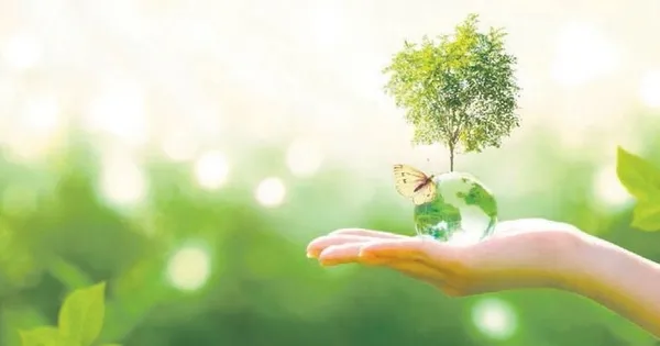 surdurulebilirlikte-yol-haritasi-turkuvazda-ciziliyor-1673583331713.jpeg Inbusiness Sürdürülebilir Yüzyıl Zirvesi'nde Emine Erdoğan'dan Turkuvaz Medya'ya özel tebrik: Doğa dostu bina ve çevre duyarlılığı vurgusu - 14