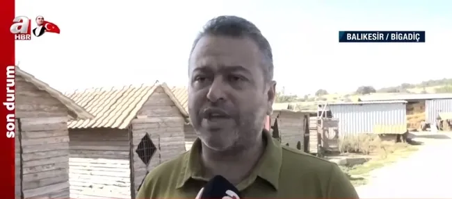 Doberman cinsi eğitimli köpek Tina eve döndü! Kayıp ekonomist Berzeg’in köpeğini A Haber görüntüledi