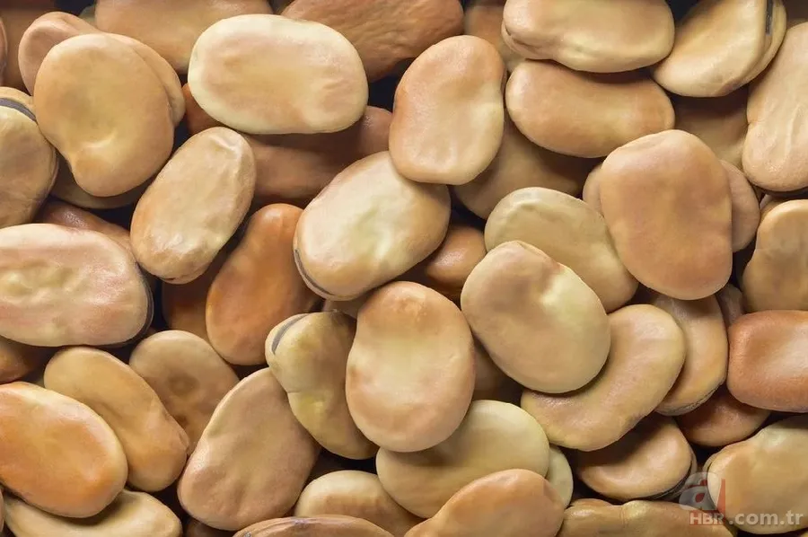 İbn-i Sina binlerce yıl önce yazdı: 1 asır yaşamanın sırrı bu reçetede... 7