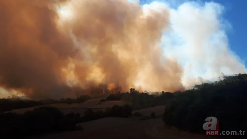 Bursa Yenişehir'de korkutan orman yangını! 6