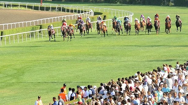 At yarışı sonuçları sorgulama 🏇 | Canlı TJK TV at yarışı sonuçları ve yarış programı | İstanbul, Bursa, İzmir, Kocaeli...