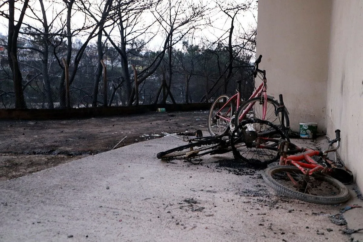 CHP ve HDP Hatay'daki yangında PKK'yı görmedi!