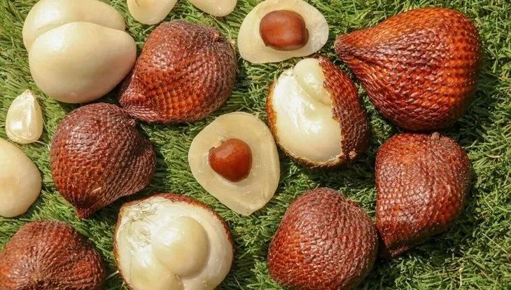 Hem adı hem de faydasıyla şaşırtıyor! Ömrü uzatan mucize besin: Salak Pondoh meyvesi