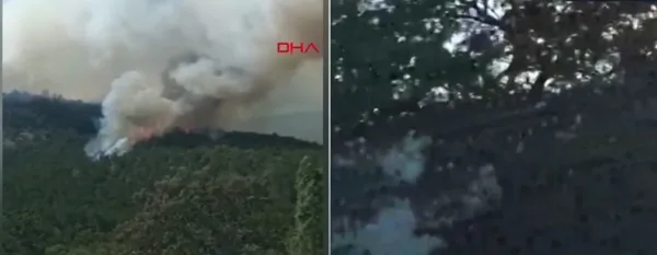 Eskişehir’de orman yangını kontrol altına alındı