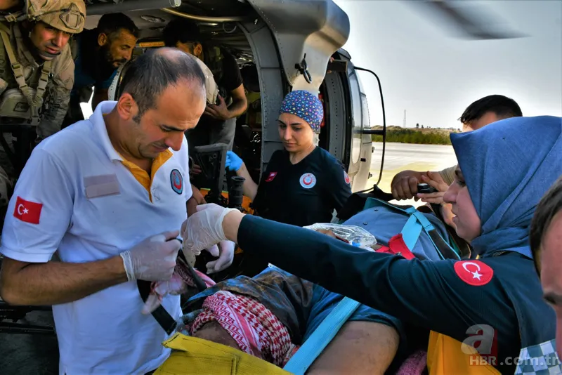 Siirt'te korkunç olay! Hayvanları otlatan çobana yaban domuzları saldırdı 4