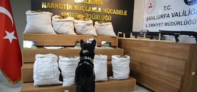 Şanlıurfa'da uyuşturucu operasyonu! Kilolarca ele geçirildi...
