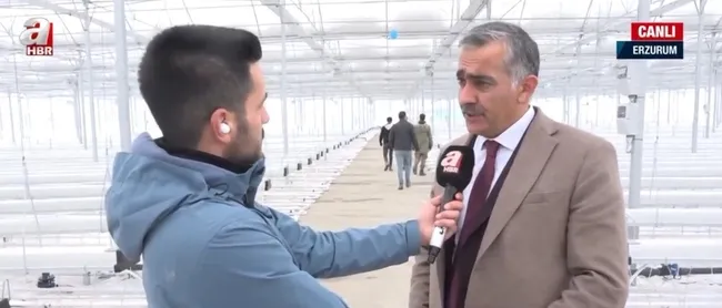 Erzurum’da jeotermal serada domates üretilecek! Türkiye’nin en yüksek rakımında üretim