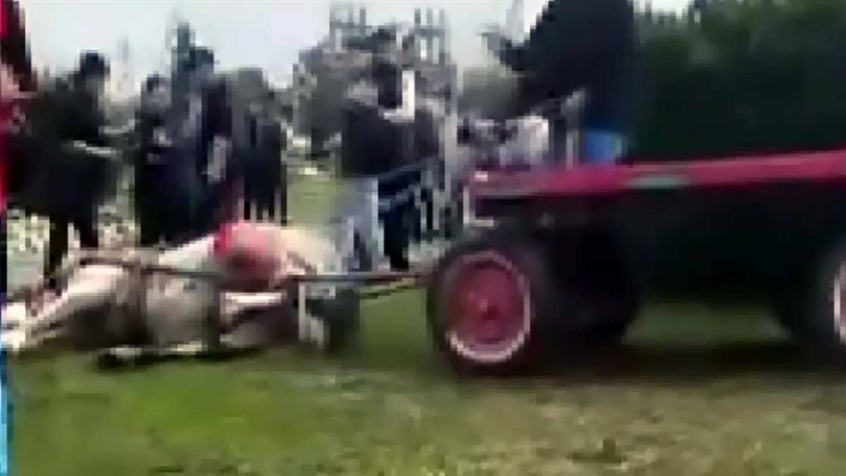 Koşmayan ata zulmettiler! Mahkemeden ders olacak ceza