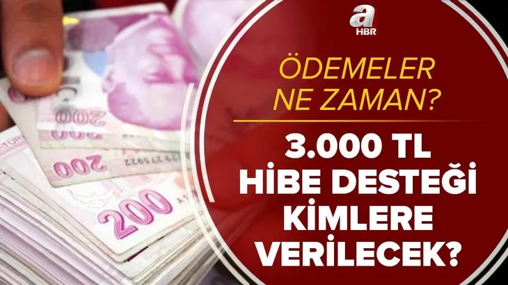 3.000 TL hibe desteği kimlere verilecek? Ödemeler ne zaman? Müzisyenler, kaportacılar, konfeksiyoncular ve...
