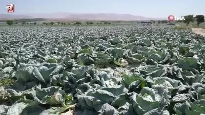 Niğde tarımı turizme hazırlanıyor