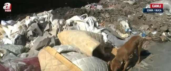 İzmir’de çevre katliamı! Moloz ve çöpler kimler tarafından atıldı? - 1