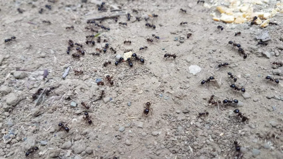 Depremin habercisi mi? Uzman açıkladı...