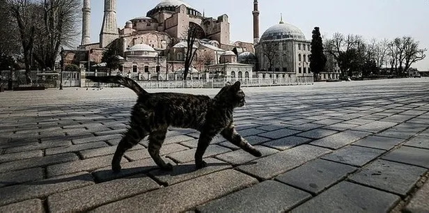 Son dakika: 65 yaş üstü hangi illerde yasaklandı? 65 yaş üstü sokağa çıkma saatleri kaçla kaç arası? İllerin tam listesi... - 2