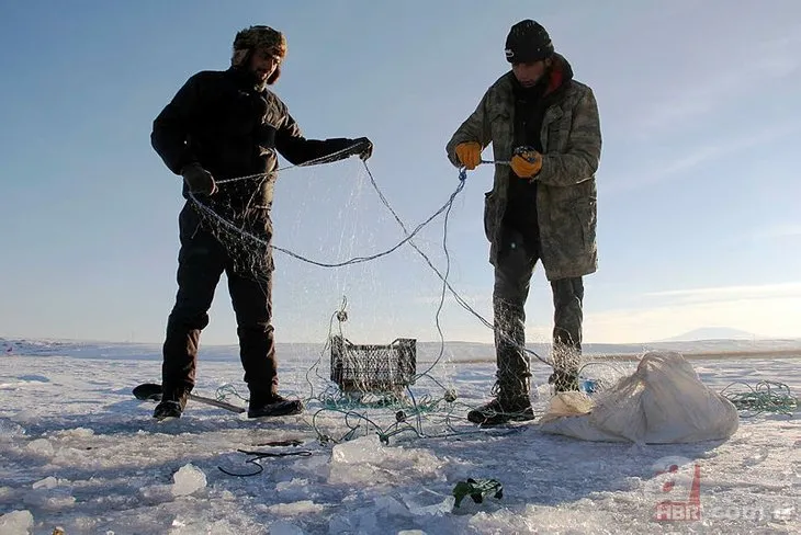 Türkiye’de Eskimo usulü balık avı sosyal medyayı salladı! İşte Çıldır Gölü’ndeki o anlar