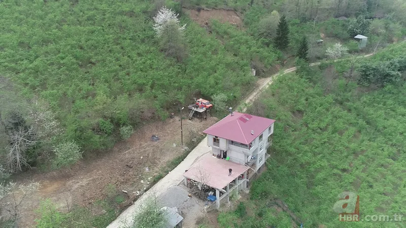 Karadeniz zekasını konuşturdu! Kızları ağaç ev isteyince… 22