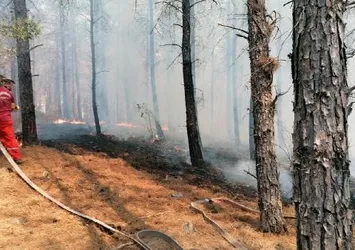 Antalya Kaş'ta orman yangını