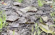 İstanbul’da kar yağışı başladı