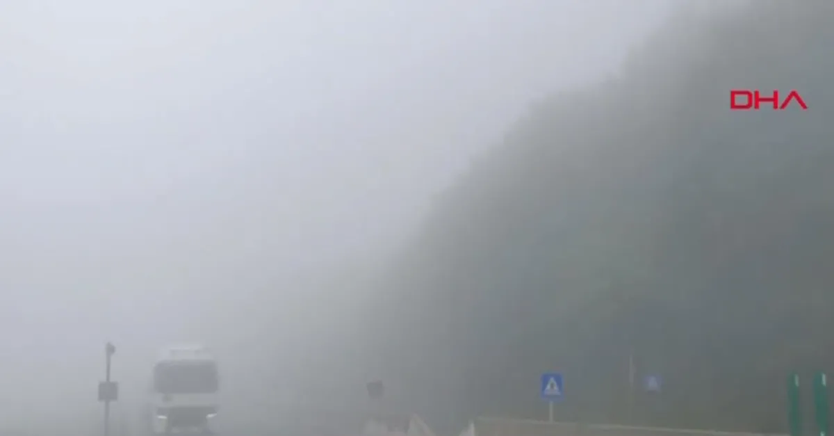 Bolu Dağı'nda sis altında