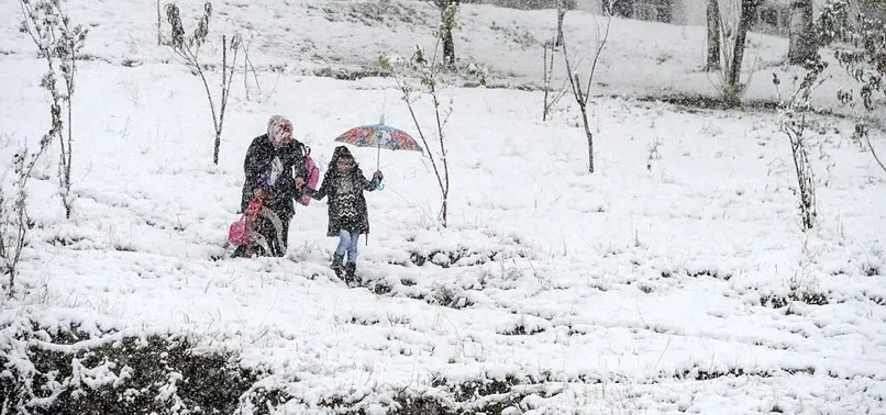 Meteorolojiden 5 il için zirai don uyarısı