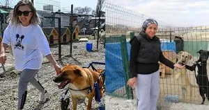 Mama bağışlarını ceplerine indirdiler