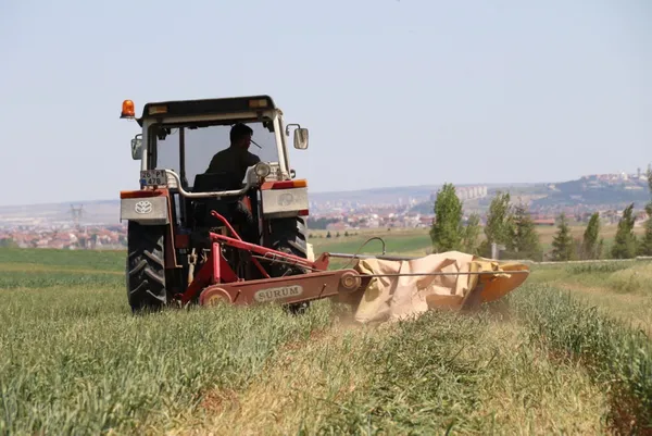 2021 hububat satış fiyatları | Çiftçinin merakla beklediği haber! Hasat sonu hububat satış fiyatları belli oldu - 3