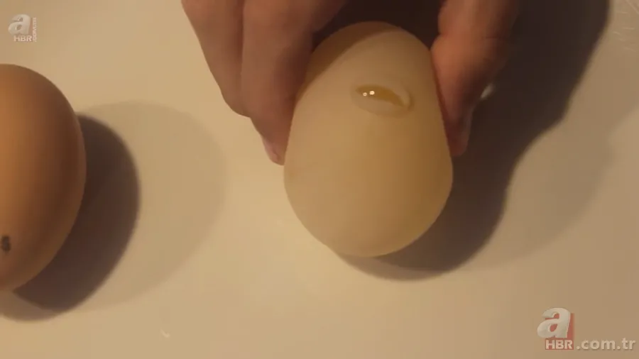 Beslediği tavuğun yumurtasını almak için kümese girdi! Yumurtayı eline alınca gözlerine inanamadı 25