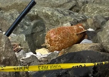 Rize'de sahilinde patlamamış mühimmat paniği! Ekipler alarma geçti