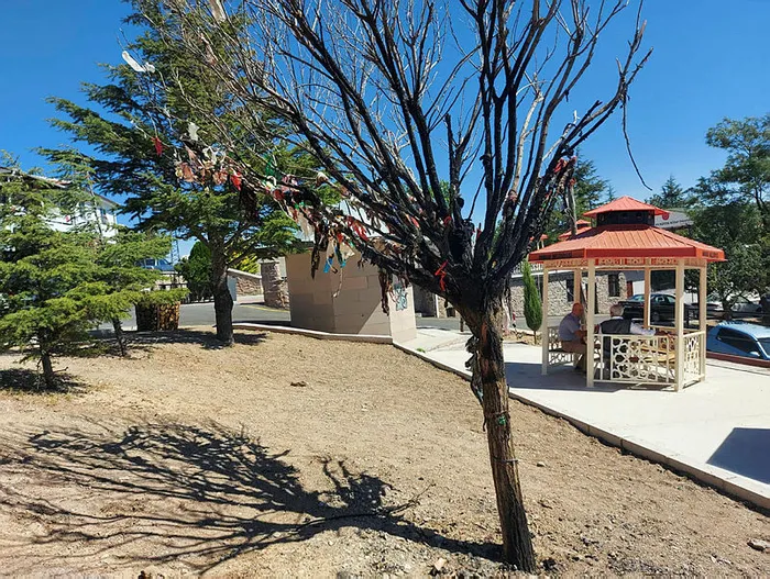 Ankara'da Hüseyin Gazi Cemevi'nin dilek ağacını yakanlara gözaltı! Cemevi dedesi Hüseyin Öz: Provokasyon olabilir - 1