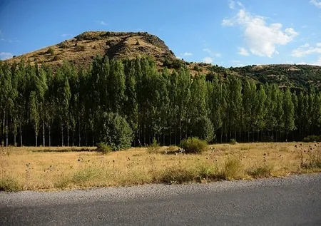 Atatürk'ün hediyesi arazi 67 yıldır davalık! Yaverin hukuk mücadelesi