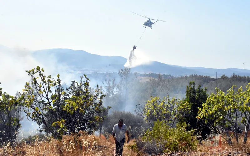 Muğla'dan art arda yangın haberleri! Köylüler evlerini terk ediyor 16