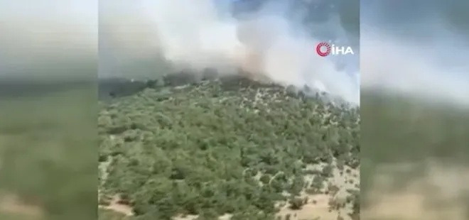 İzmir ve Manisa’da 9 orman yangını söndürüldü
