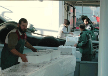Av yasağı başladı balık fiyatları arttı!