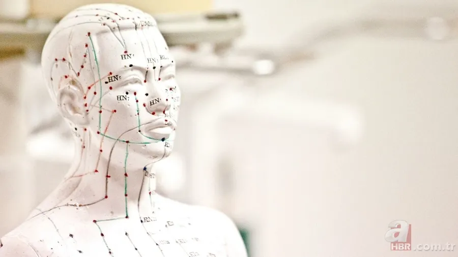 Sırt ağrısını bıçak gibi kesen tedavi! Araştırmalar ortaya çıkardı: Tek yöntemle... 3