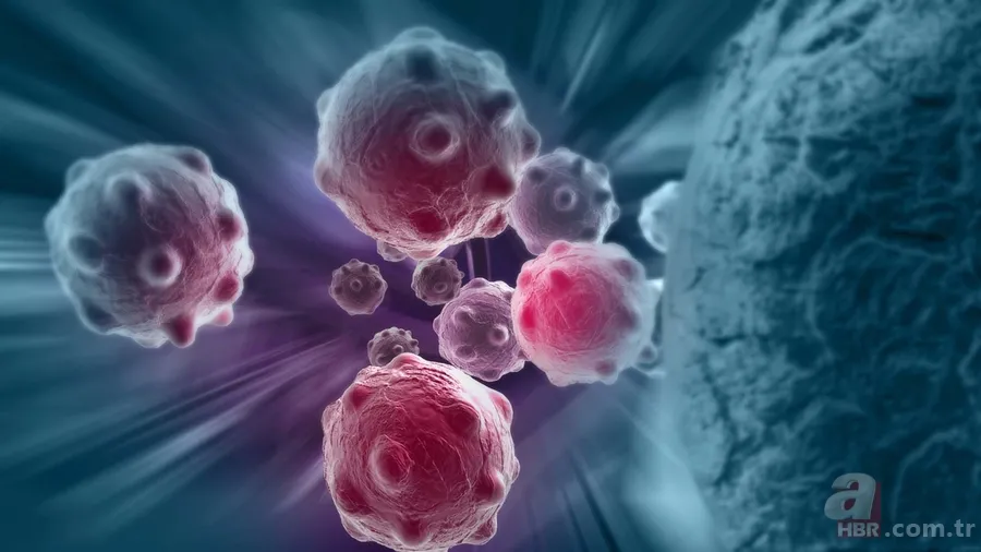 Kanser hastaları nasıl beslenmeli? Bu besinlere dikkat! Yarardan çok zarar veriyor 3