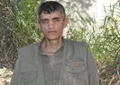 PKK’nın tünelcisi öldürüldü